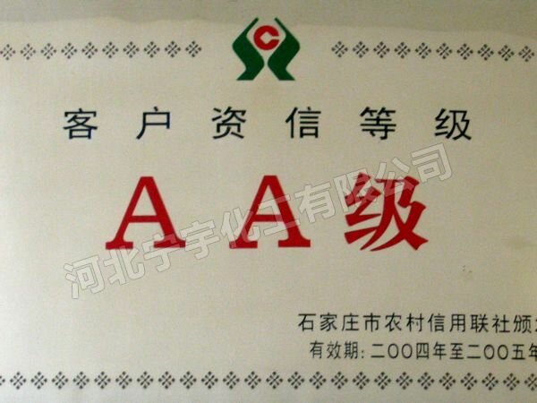 宁宇荣誉证 035