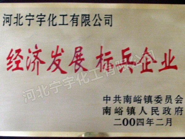 宁宇荣誉证 033