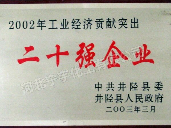 宁宇荣誉证 030